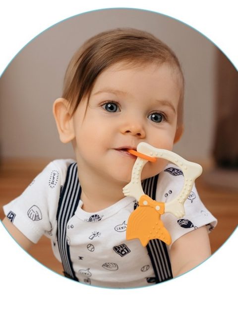 prorezyvatel-rbt20031-lisa-oranzheviy3